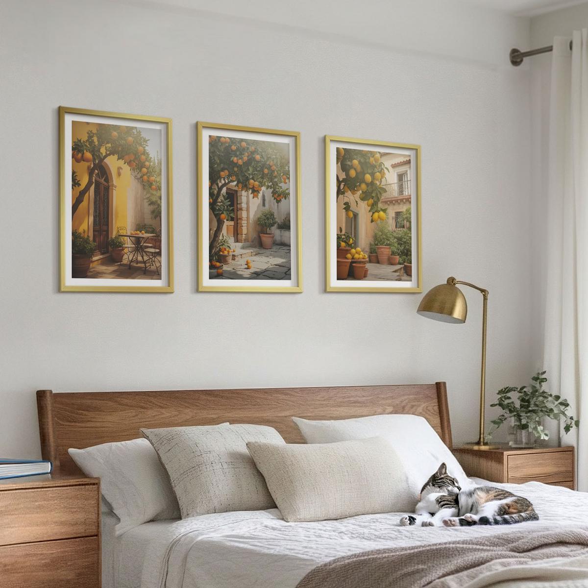 BILDER SET 3er Set - 40x60 cm Goldrahmen - Zitrustöpfe für sonnige Terrassen - Goldfarben, Kunststoff (40/60cm) - TULUP