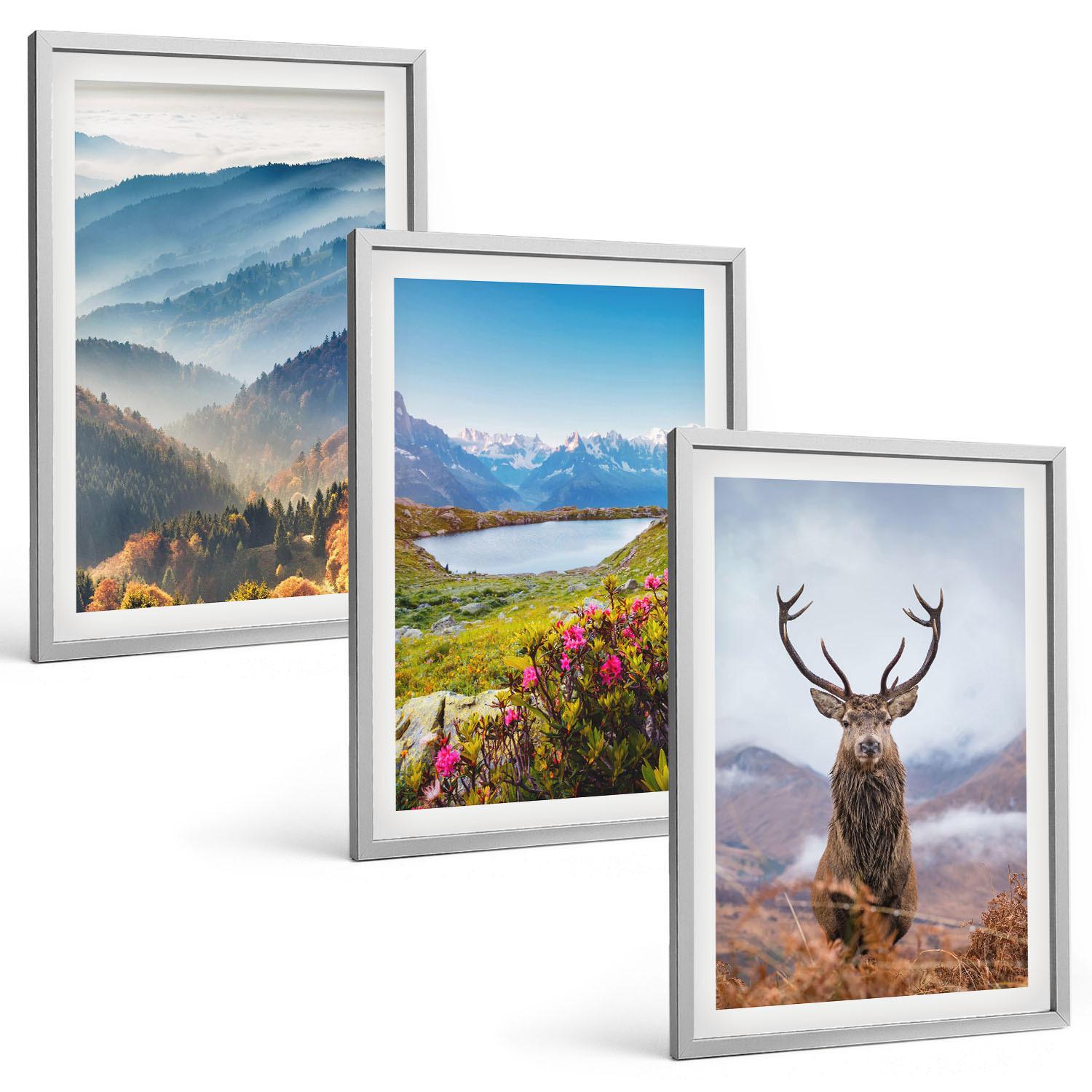 BILDER SET 3er Set - 40x60 cm Silberner Rahmen - Natur des Bergseehirsches - Silberfarben, Kunststoff (40/60cm) - TULUP