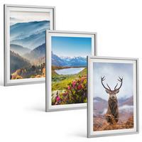 BILDER SET 3er Set - 40x60 cm Silberner Rahmen - Natur des Bergseehirsches - Silberfarben, Kunststoff (40/60cm) - TULUP