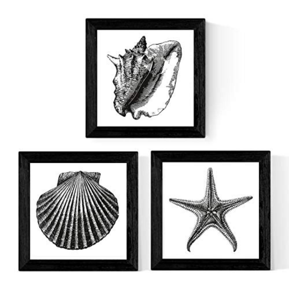 POSTER Set Mit 3 Meerestiere Schwarzweiß 30X30cm Rahmenlos - Klar, Papier (30/5/30cm) - Nacnic