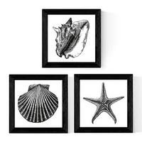 POSTER Set Mit 3 Meerestiere Schwarzweiß 30X30cm Rahmenlos - Klar, Papier (30/5/30cm) - Nacnic