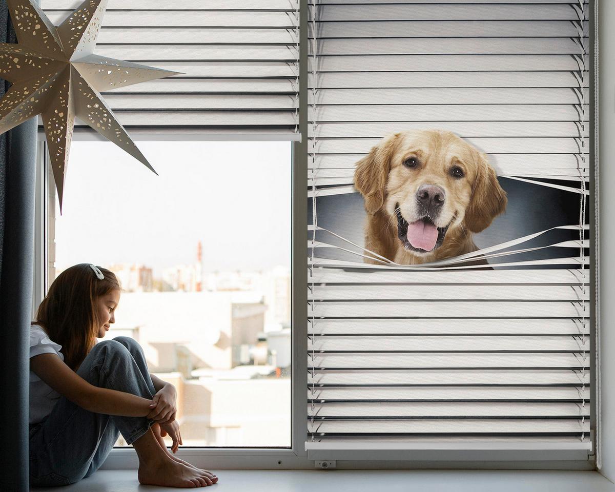 INNENROLLO - Fensterrollo - Rollo - 100x140 cm - Goldener Hund - Grau, Kunststoff (100/140/0.5cm) - TULUP