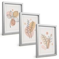 BILDER SET 3er Set - 20x30 cm Silberner Rahmen - Pastellfarbene Pflanzenzeichnungen - Silberfarben, Kunststoff (20/30cm) - TULUP