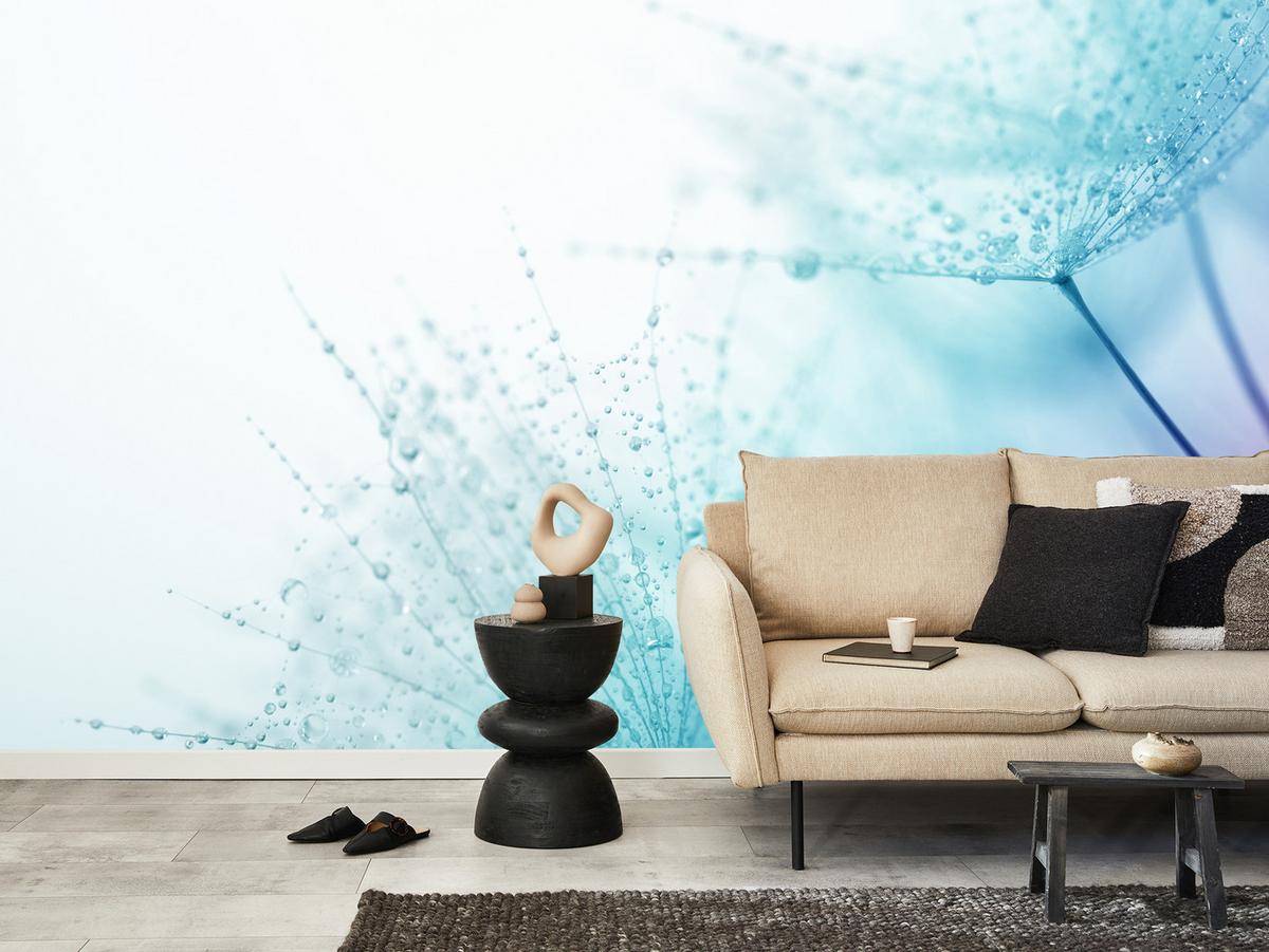 FOTOTAPETE für Badezimmer Leuchtende Löwenzahnblüten Wassertropfen Blau 200x140 - Türkis/Blau, Papier (200/140cm) - Muralo