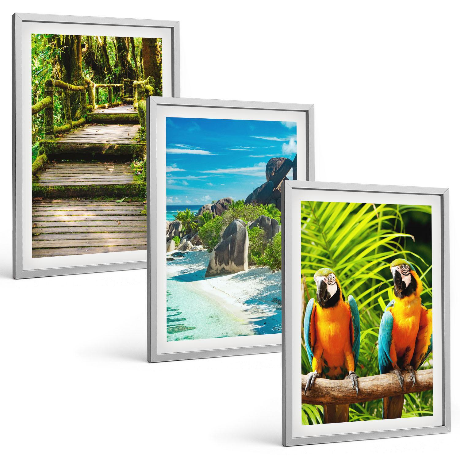 BILDER SET 3er Set - 40x60 cm Silberner Rahmen - Tropischer Wald Papageienwasserfall - Silberfarben, Kunststoff (40/60cm) - TULUP