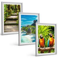 BILDER SET 3er Set - 40x60 cm Silberner Rahmen - Tropischer Wald Papageienwasserfall - Silberfarben, Kunststoff (40/60cm) - TULUP