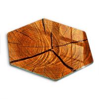 GLASPLATTE 40 cm Baumstamm Struktur - Braun, Glas (40/40cm) - Wallfluent
