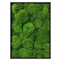 MOOSBILD Rechteck 38 x 27 cm Mooswand Indoor mit Echtem Kugelmoos und Holzrahmen Grün Pflegefrei - Grün, Naturmaterialien (27/38/3.5cm) - ECD-Germany