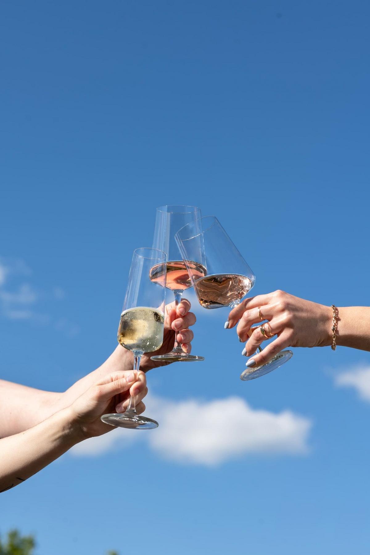 SEKTGLÄSER MioVino transparent 260 ml 4er Set - Transparent, Glas (0.26L) - Schott Zwiesel