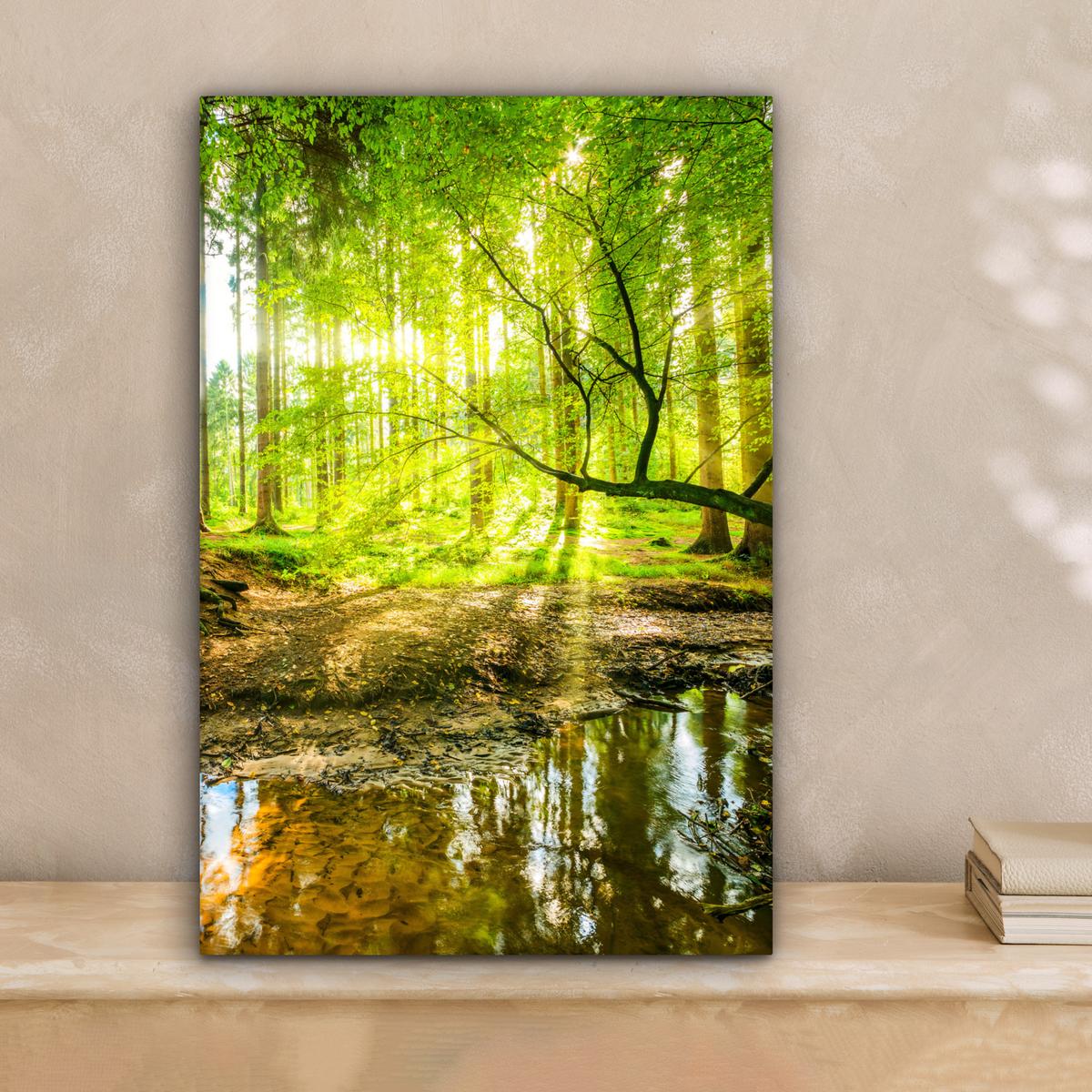 LEINWANDBILD Wald - Landschaft - Wasser - Bäume - Sonne - Grün - Natur Deko Wohnzimmer 20x30 cm - Grün, Textil (20/30cm) - MuchoWow