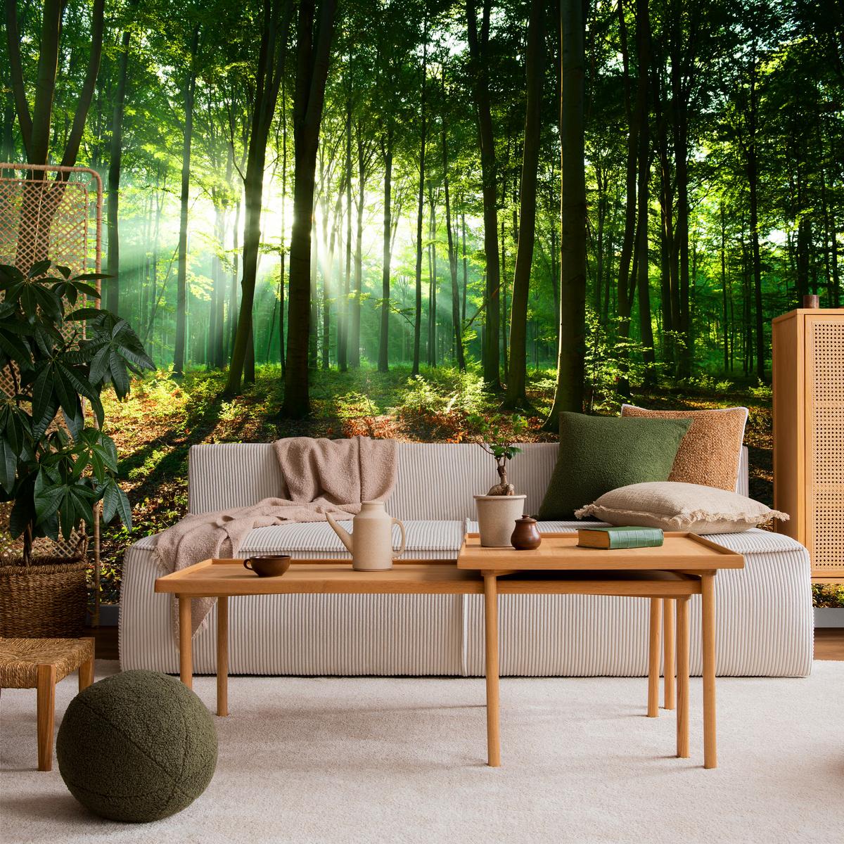 FOTOTAPETE für Wohnzimmer Sonnenstrahlen Wald Bäume Blätter 500x350 - Beige/Braun, Papier (500/350cm) - Muralo