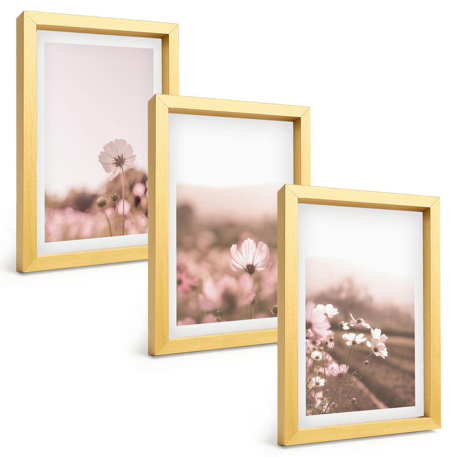 BILDER SET 3er Set - 20x30 cm Goldrahmen - Sommerlandschaften mit Wildblumenwiesen - Goldfarben, Kunststoff (20/30cm) - TULUP