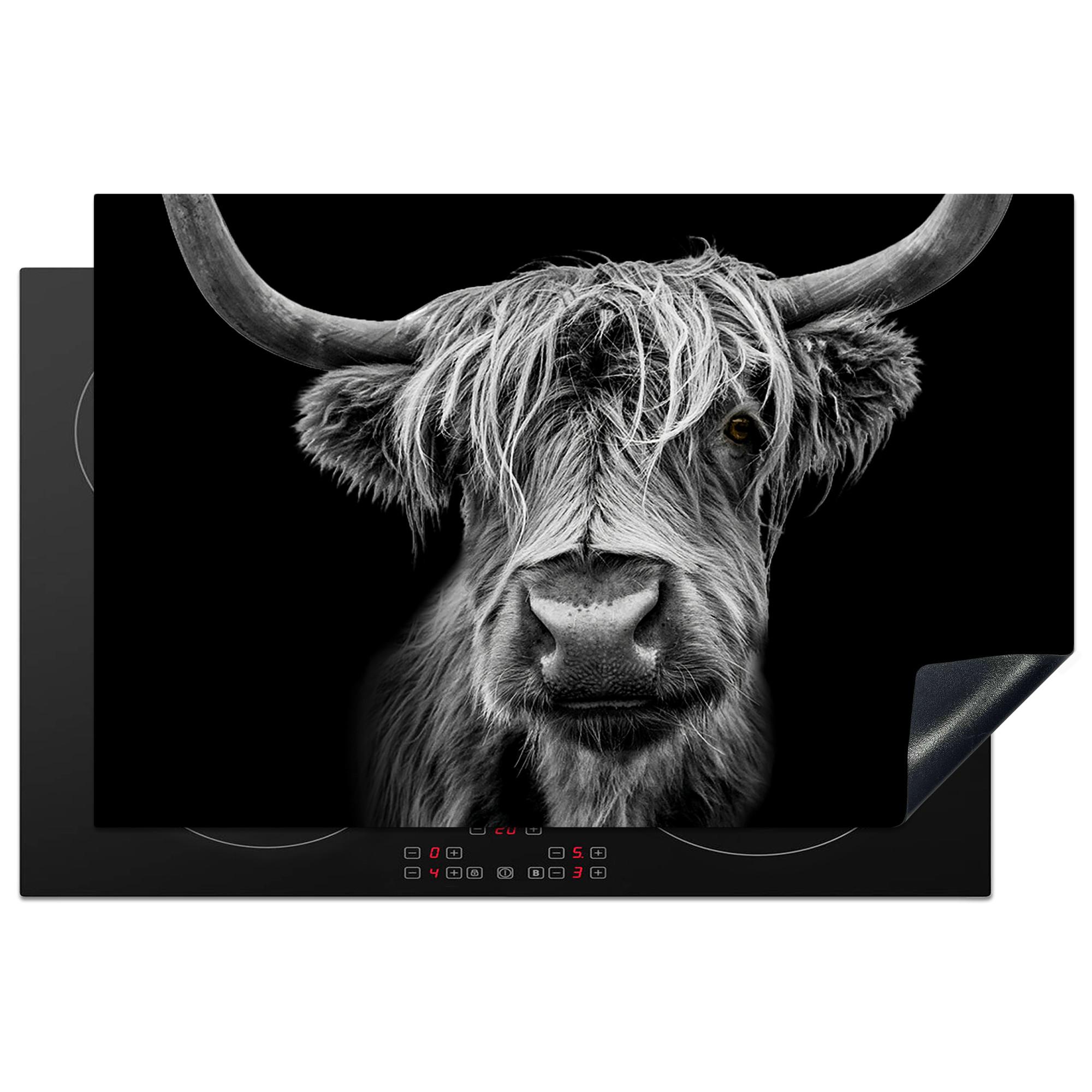 HERDABDECKPLATTE Schottischer Highlander - Hörner - Schwarz - Weiß - Kuh - Wild - Tiere Induktionsmatte 81x52 cm - Schwarz, Kunststoff (81/52/0.2cm) - MuchoWow