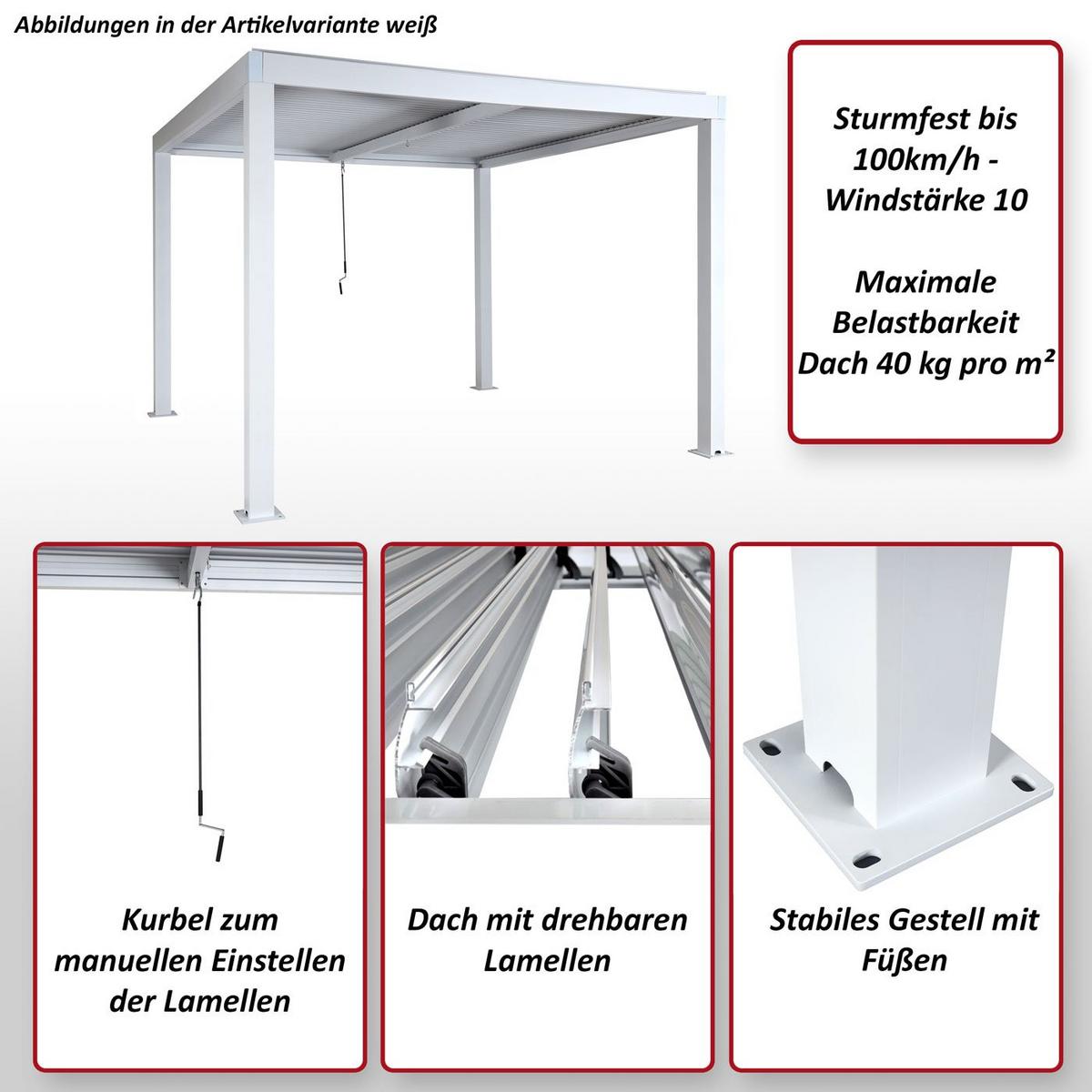PERGOLA Anthrazit - Anthrazit, Metall (400/220/300cm) - MCW