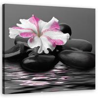 WANDBILD steine rosa blume zen - Schwarz, Textil (40/40cm) - Feeby