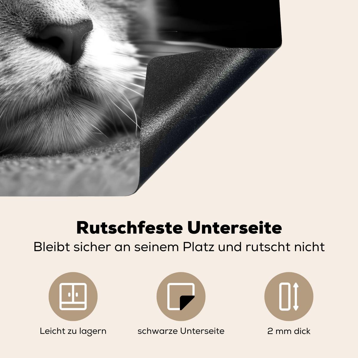 HERDABDECKPLATTE Katze - Grau - Tiere - Katze Herdabdeckung Induktionsfeld 75x52 cm - Grau, Kunststoff (75/52/0.2cm) - MuchoWow