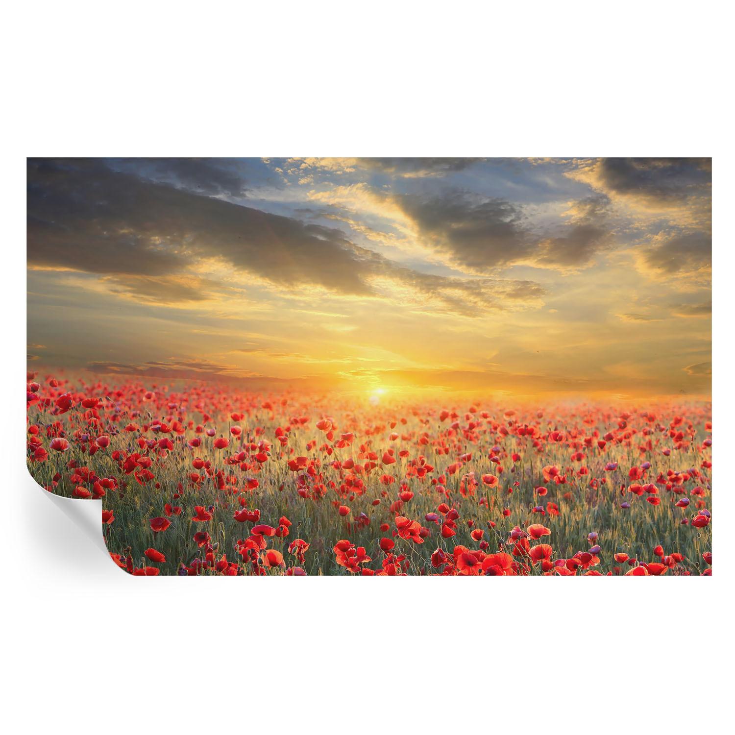 FOTOTAPETE 416x254 cm - Mohnfeld - Rot, Textil (416/254cm) - Wallfluent