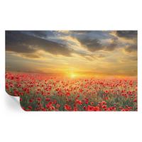 FOTOTAPETE 416x254 cm - Mohnfeld - Rot, Textil (416/254cm) - Wallfluent