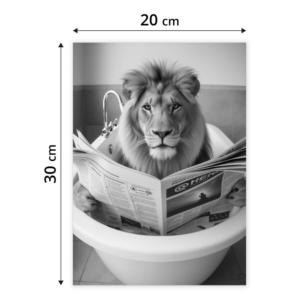 POSTER für WC Badezimmer LÖWE in der Badewanne Schwarz-Weiß Abstraktion 20x30cm - Schwarz/Weiß, Papier (20/30/30cm) - Muralo