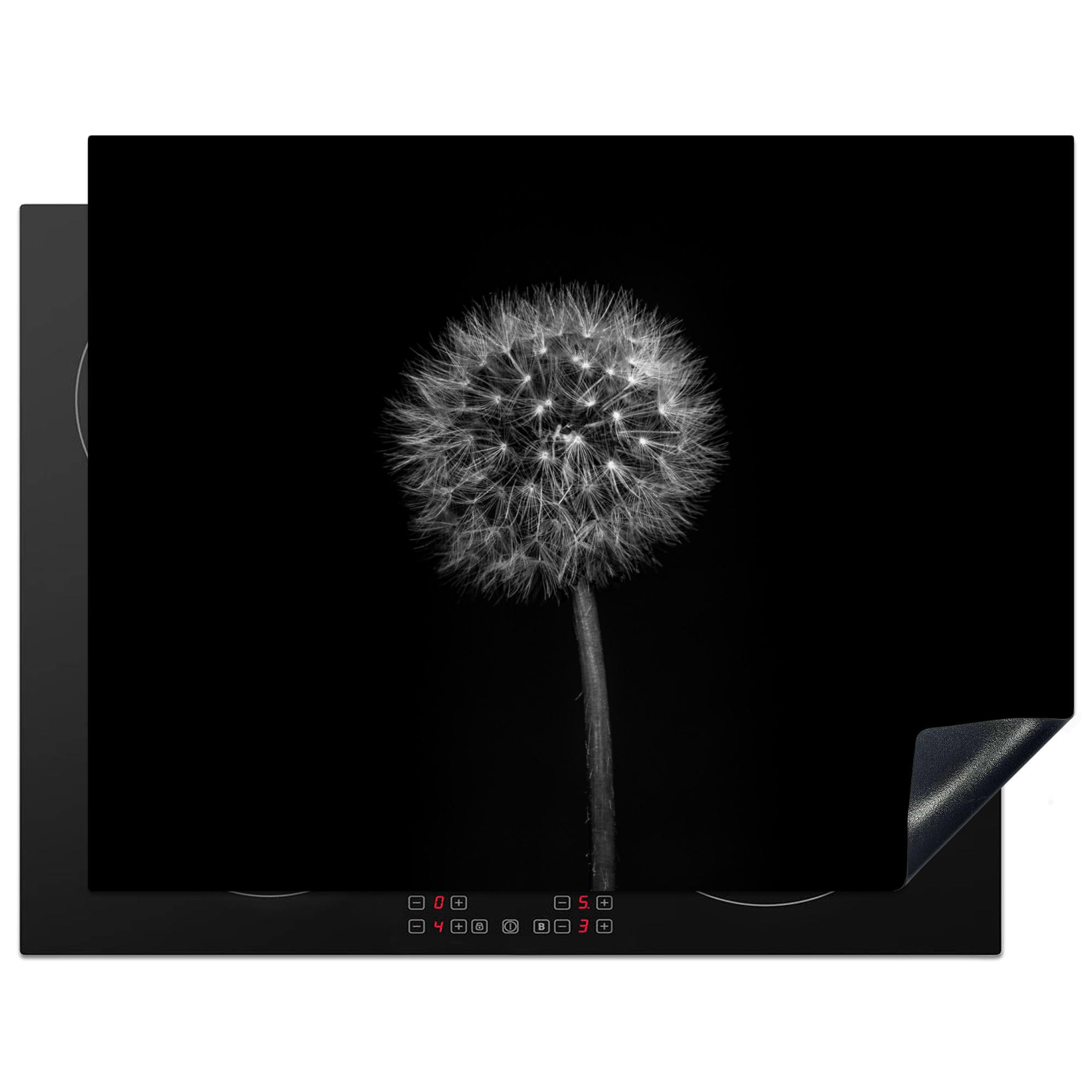 HERDABDECKPLATTE Löwenzahn - Schwarz - Floral - Botanisch Induktionsmatte 77x59 cm - Grau, Kunststoff (77/59/0.2cm) - MuchoWow