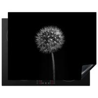 HERDABDECKPLATTE Löwenzahn - Schwarz - Floral - Botanisch Induktionsmatte 77x59 cm - Grau, Kunststoff (77/59/0.2cm) - MuchoWow