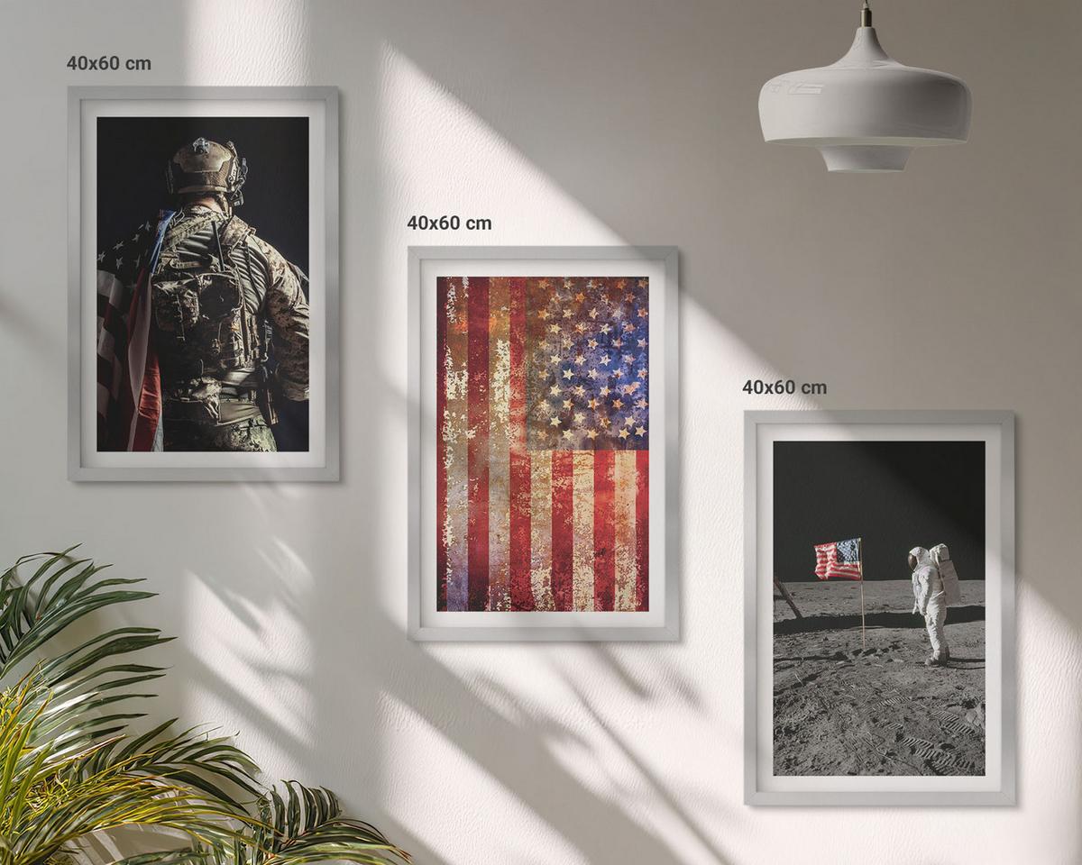 BILDER SET 3er Set - 40x60 cm Silberner Rahmen - Amerikanische Symbole, USA-Flagge - Silberfarben, Kunststoff (40/60cm) - TULUP