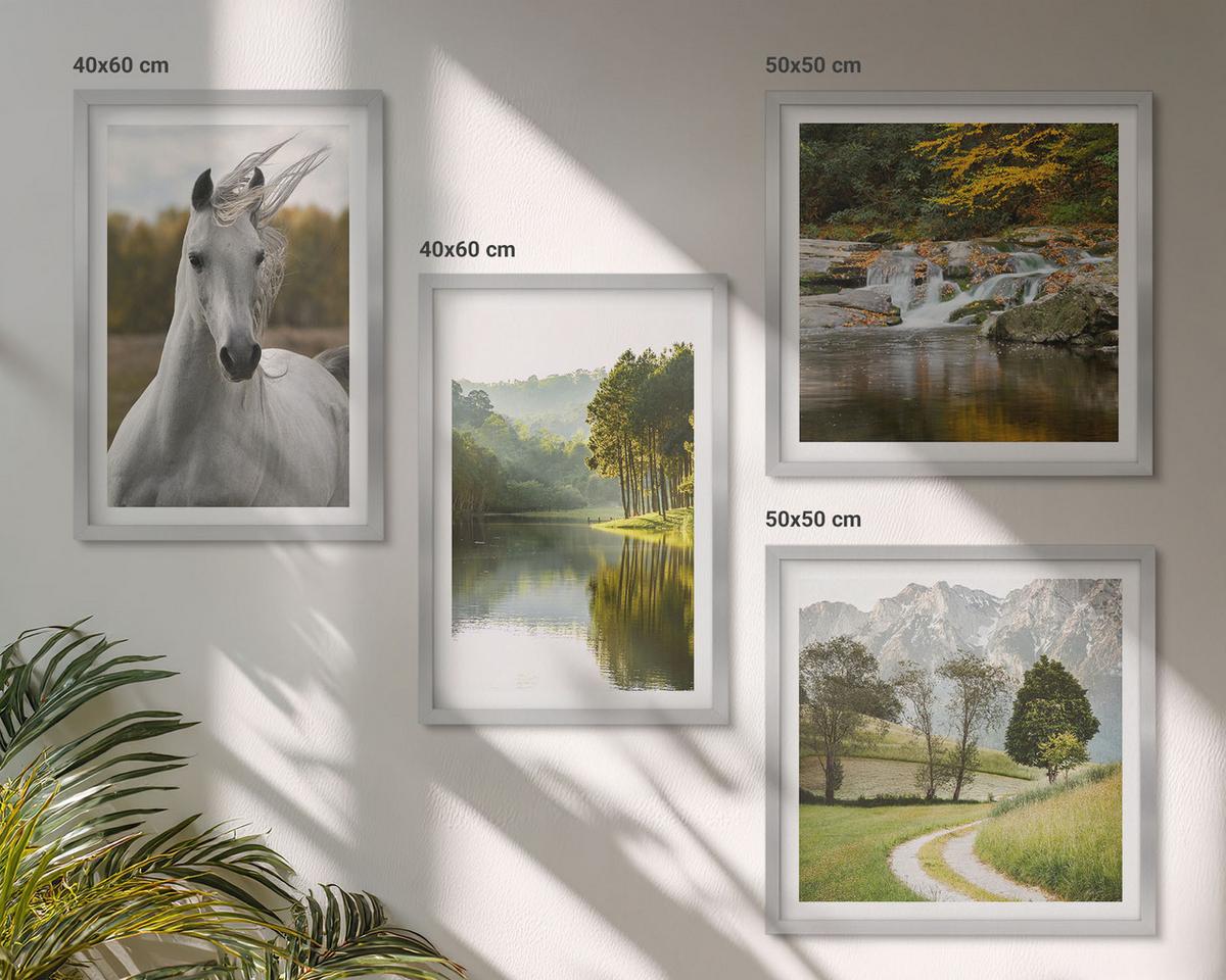 BILDER SET 4er Set - 50x50 cm & 40x60 cm Silberner Rahmen - Natur des Flusses White Horses - Silberfarben, Kunststoff (50/50cm) - TULUP