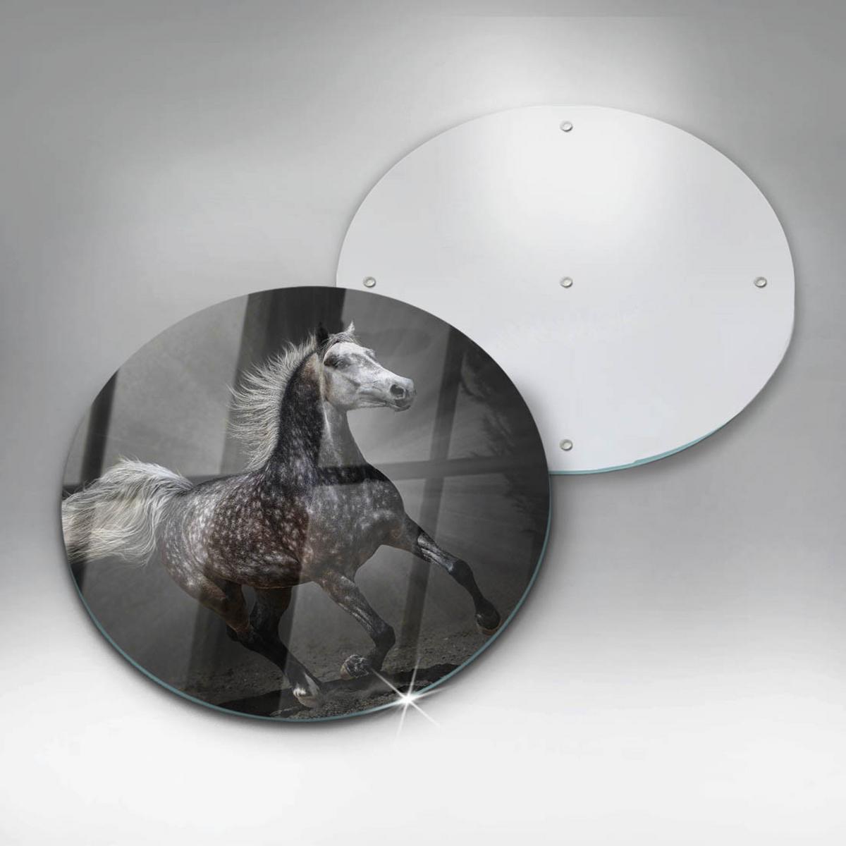 GLASPLATTE Ø 30 cm Pferd im Galopp - Blaugrau, Glas (30/30cm) - Wallfluent