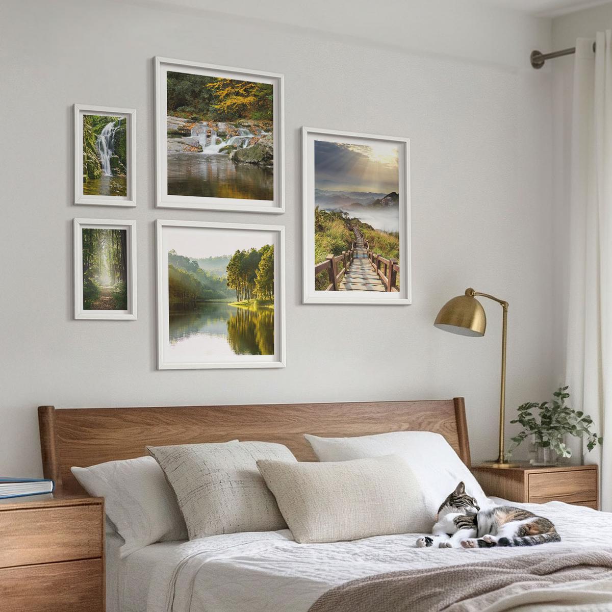 BILDER SET 5er Set - 50x50 cm & 20x30 cm & 40x60 cm Weißer Rahmen - Grüne Blätter von eleganten Sukkulenten - Weiß, Kunststoff (40/60cm) - TULUP