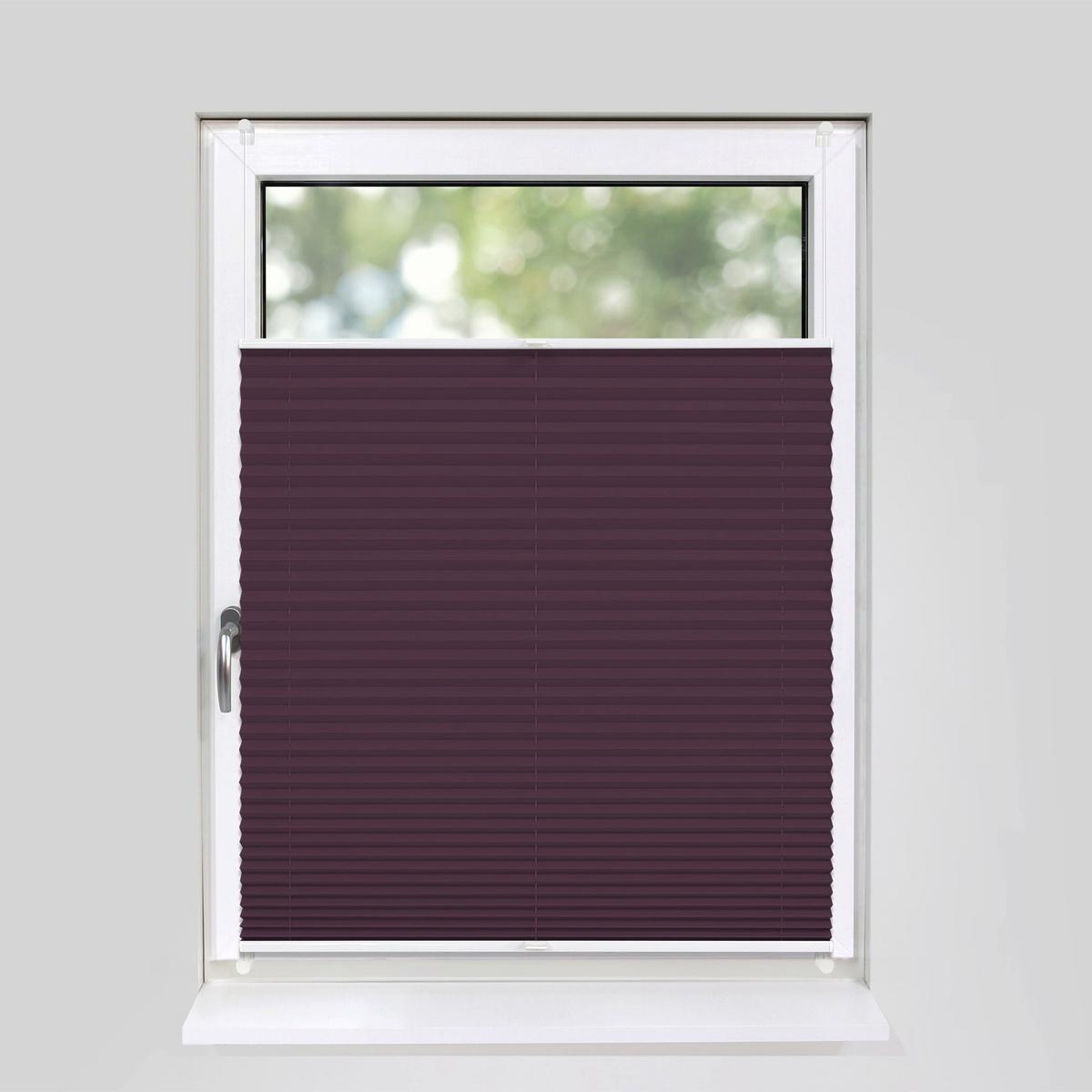 PLISSEE Basic 120 x 150cm Klemmfix ohne Bohren - Violett, Textil (120/150cm) - Deco-Raum