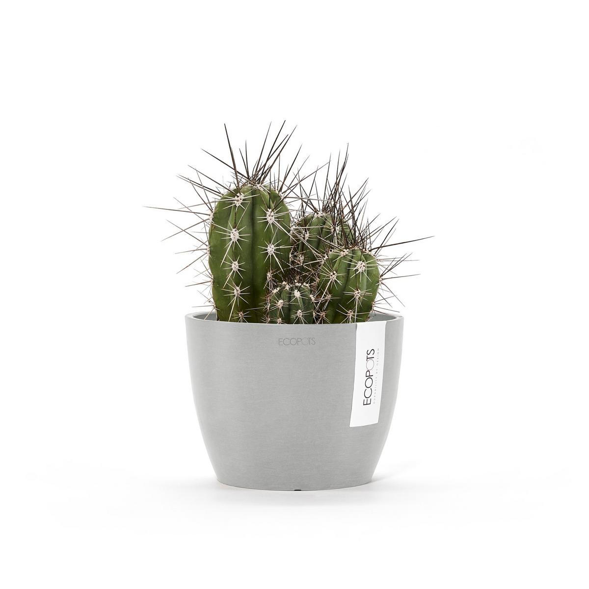 BLUMENTOPF Stockholm Mini 16,2/12 cm Hellgrau - Hellgrau, Kunststoff (16.2/12cm) - Ecopots