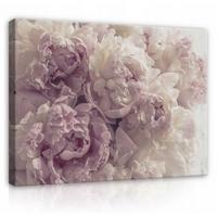 LEINWAND BILDER Blumen Schlafzimmer 60x40 - Multicolor, Holzwerkstoff (60/40cm) - Wallarena