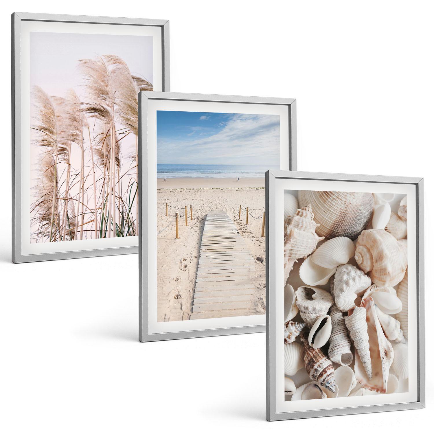 BILDER SET 3er Set - 40x60 cm Silberner Rahmen - Strandmuscheln Seegras - Silberfarben, Kunststoff (40/60cm) - TULUP