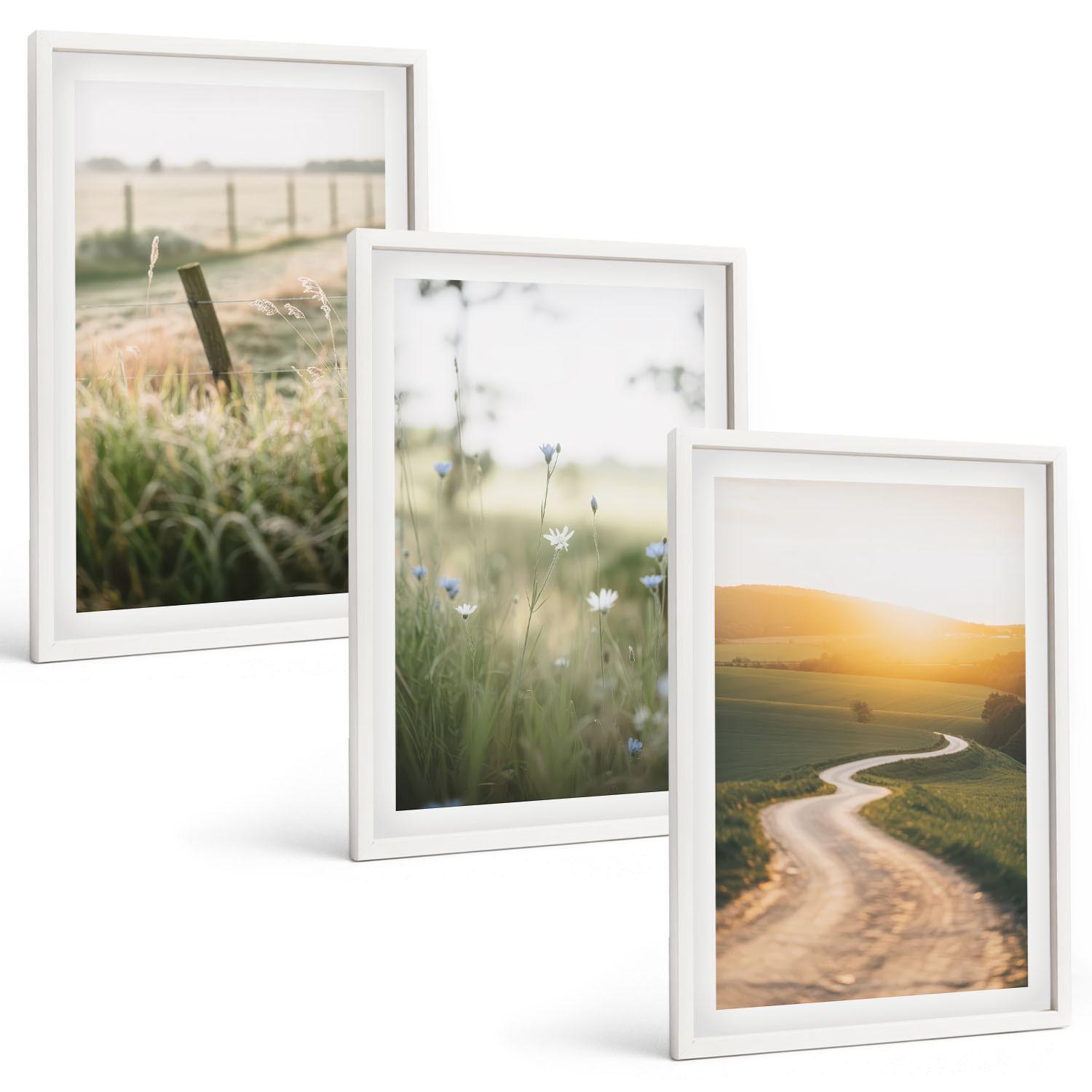 BILDER SET 3er Set - 40x60 cm Weißer Rahmen - Landschaftswiesenstraße West - Weiß, Kunststoff (40/60cm) - TULUP