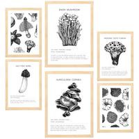 POSTER Set Mit 6 Komposition Aus Schwarzen & Weißen Pilzen & Homgos A3 & A4 Rahmen Aus Hellem Holz - Beige, Papier (29/3cm) - Nacnic