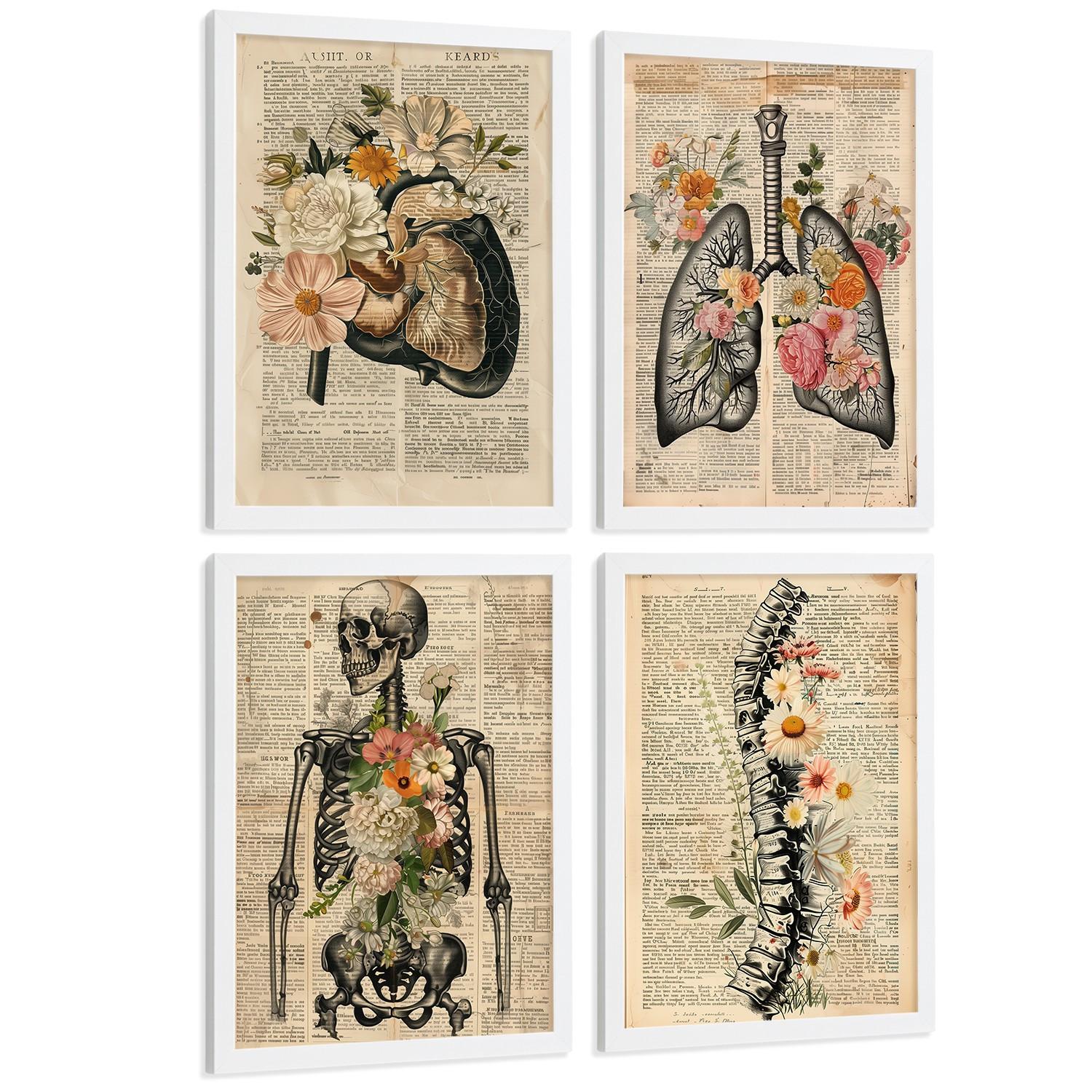 POSTER Set aus 4 Anatomie Drucke und Wandbilder mit Leber Lungen Atmungssystem Skelett Schädel Wirbelsäule Vintage Zeitungsstil Größe Weißer Rahmen A3 - Weiß, Papier (29.7/42/3cm) - Nacnic