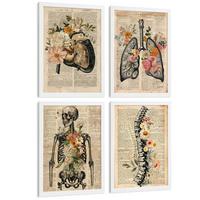POSTER Set aus 4 Anatomie Drucke und Wandbilder mit Leber Lungen Atmungssystem Skelett Schädel Wirbelsäule Vintage Zeitungsstil Größe Weißer Rahmen A3 - Weiß, Papier (29.7/42/3cm) - Nacnic