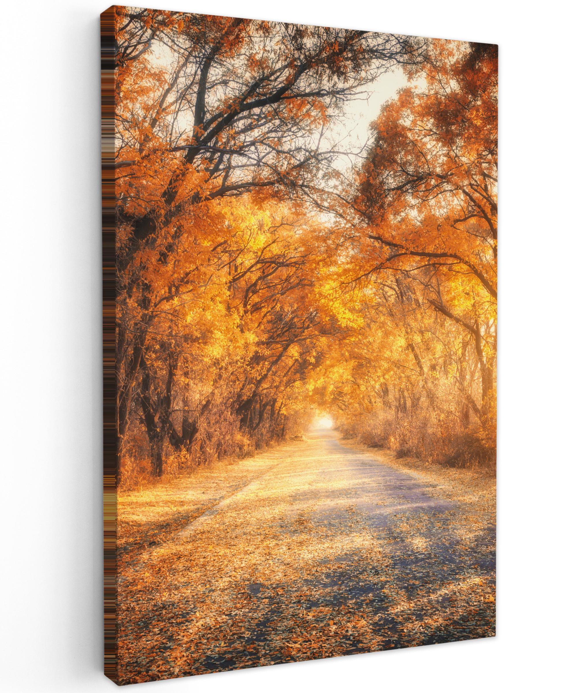 LEINWANDBILD Wald - Herbst - Bäume - Waldweg - Natur Deko Groß 90x140 cm - Bernsteinfarben, Textil (90/140cm) - MuchoWow