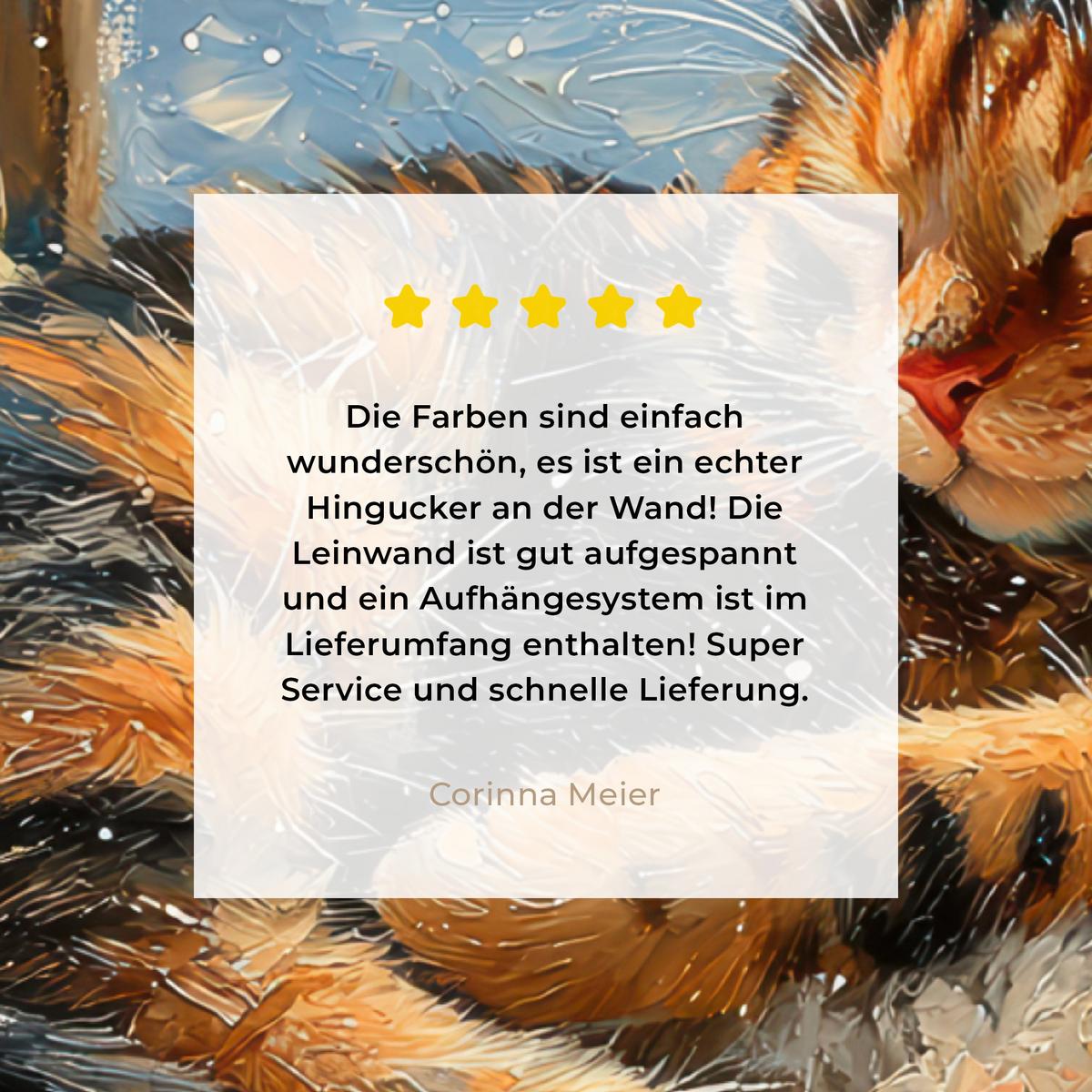 LEINWANDBILD Katze - Weihnachten - Winter - Tier Wandbild 40x30 cm - Bernsteinfarben, Textil (40/30cm) - MuchoWow