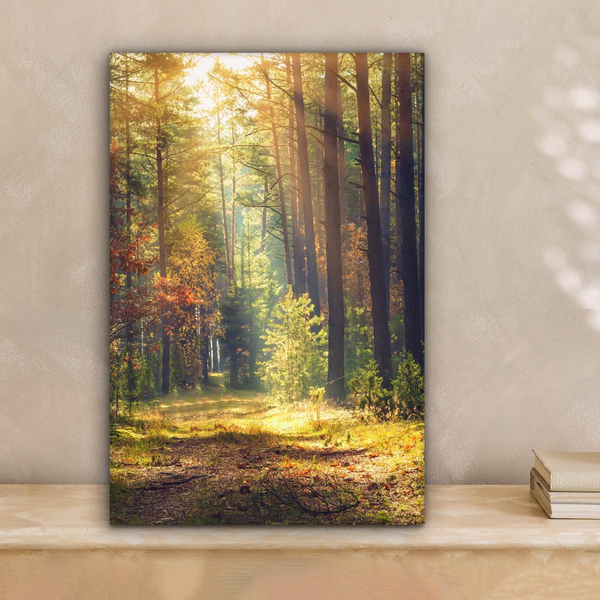 LEINWANDBILD Wald - Herbst - Bäume Deko Wohnzimmer 20x30 cm - Dunkelgrün, Textil (20/30cm) - MuchoWow