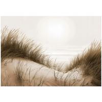 FOTOTAPETE Strand Meer Beige 400x280 cm - Multicolor, Papier (400/280cm) - Wallarena