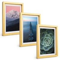 BILDER SET 3er Set - 20x30 cm Goldrahmen - Berge, rosa Himmel, Wasser, Sukkulente - Goldfarben, Kunststoff (20/30cm) - TULUP