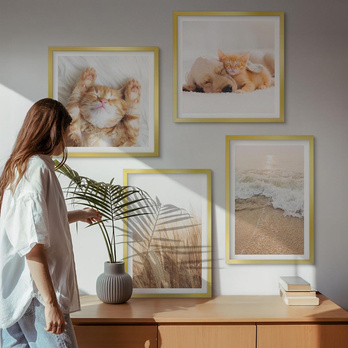 BILDER SET 4er Set - 50x50 cm & 40x60 cm Goldrahmen - Niedliche Tiere, Katzen, Hunde, Strand - Goldfarben, Kunststoff (50/50cm) - TULUP