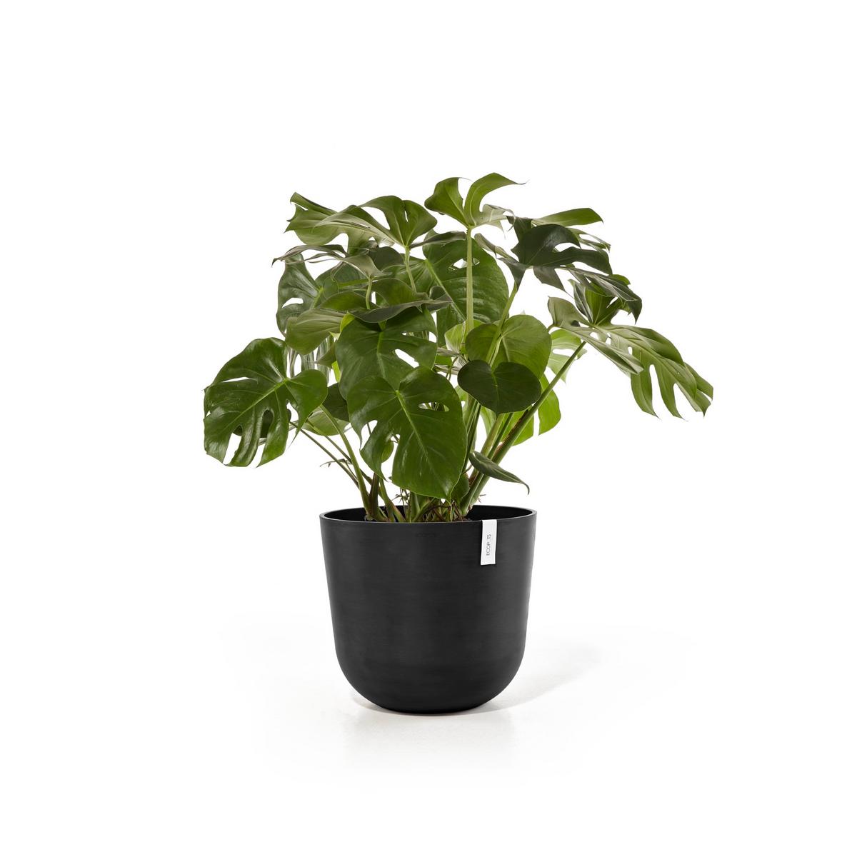 BLUMENTOPF Oslo 55/48,5 cm Dunkelgrau - Dunkelgrau, Kunststoff (55/48.5cm) - Ecopots
