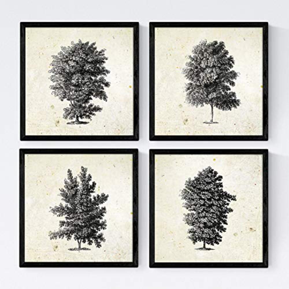 POSTER Set mit 4 Blättern der Hohe Bäume in der 20x20cm Schwarzer Rahmen - Schwarz, Papier (20/3cm) - Nacnic