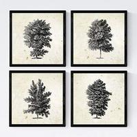 POSTER Set mit 4 Blättern der Hohe Bäume in der 20x20cm Schwarzer Rahmen - Schwarz, Papier (20/3cm) - Nacnic