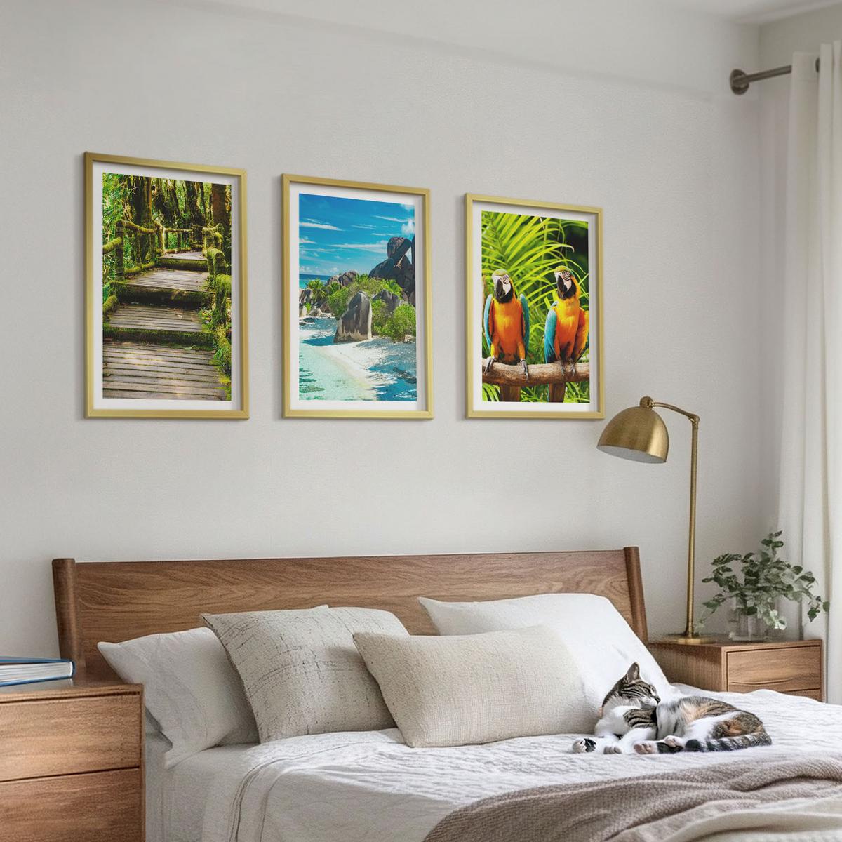 BILDER SET 3er Set - 40x60 cm Goldrahmen - Tropischer Wald Papageienwasserfall - Goldfarben, Kunststoff (40/60cm) - TULUP