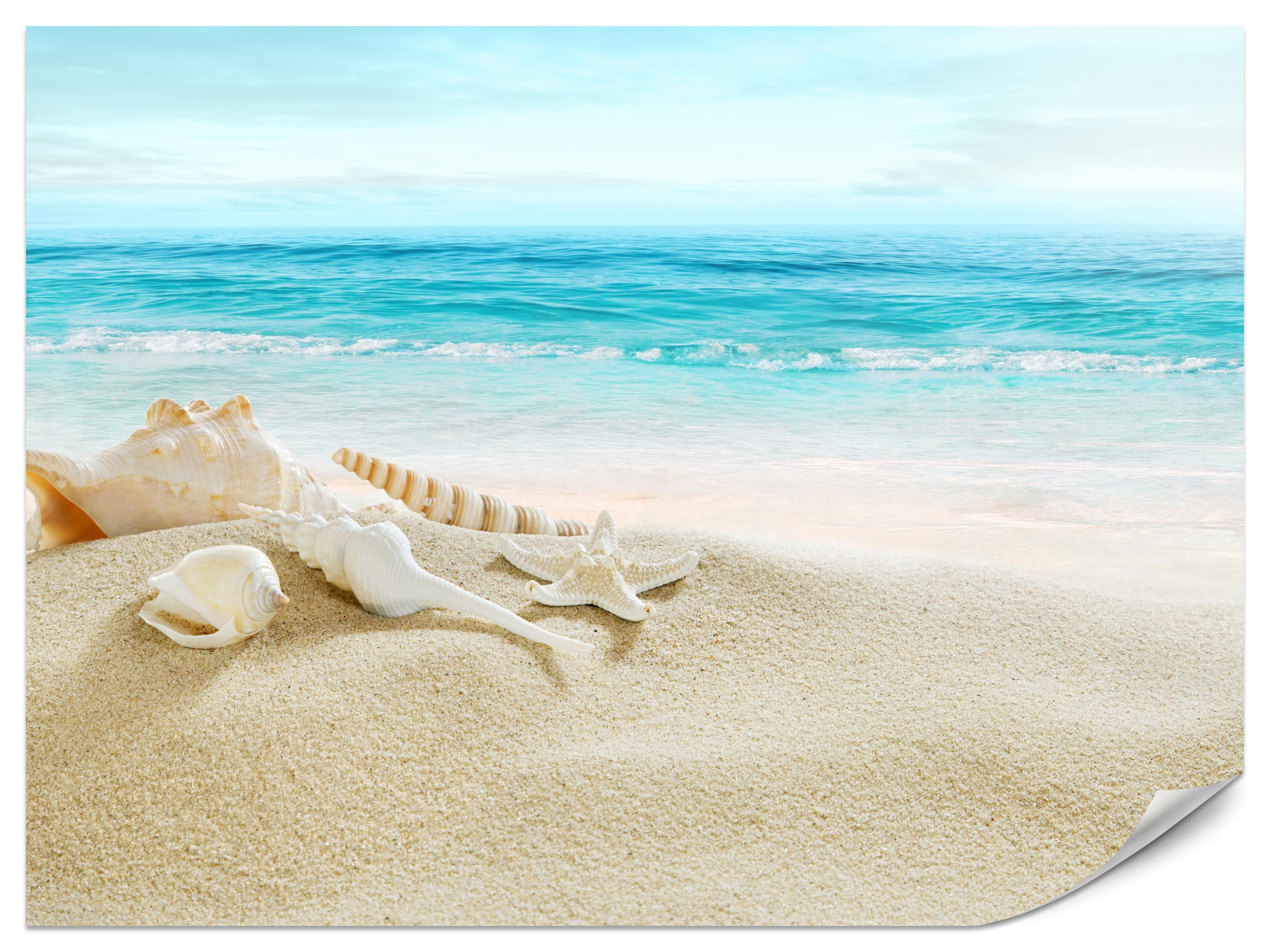 FOTOTAPETE für Badezimmer Muscheln Strand Sand Wellen Meer 500x350 - Beige/Weiß, Papier (500/350cm) - Muralo