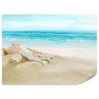 FOTOTAPETE für Badezimmer Muscheln Strand Sand Wellen Meer 500x350 - Beige/Weiß, Papier (500/350cm) - Muralo