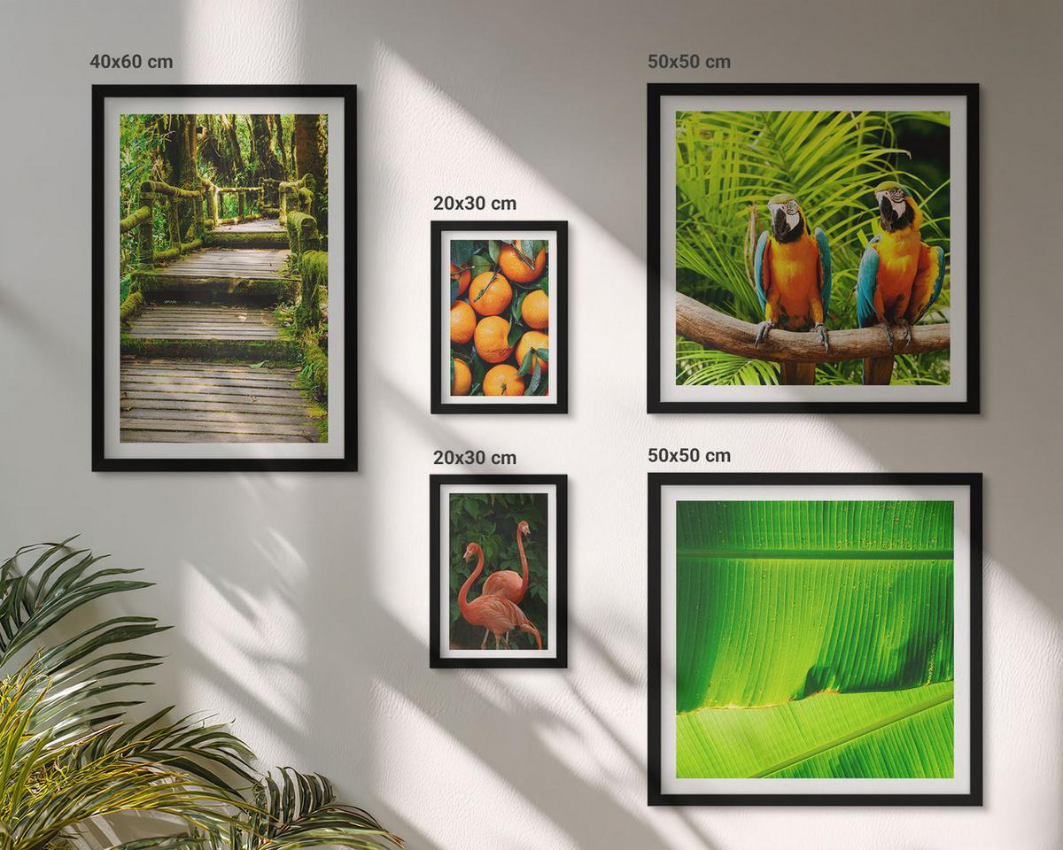 BILDER SET 5er Set - 50x50 cm & 20x30 cm & 40x60 cm Schwarzer Rahmen - Fruchtige Akzente der Tropen - Schwarz, Kunststoff (40/60cm) - TULUP
